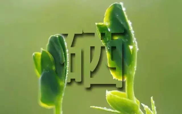 硒要多少天补一次
