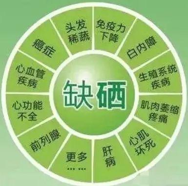 硒要多少天补一次