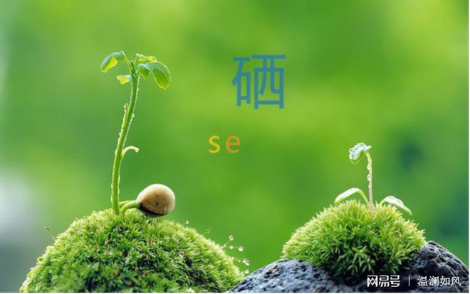 糖尿病补硒官用吗(补硒治疗糖尿?。?硒宝网