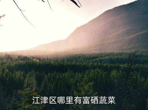 江津区哪里有富硒蔬菜