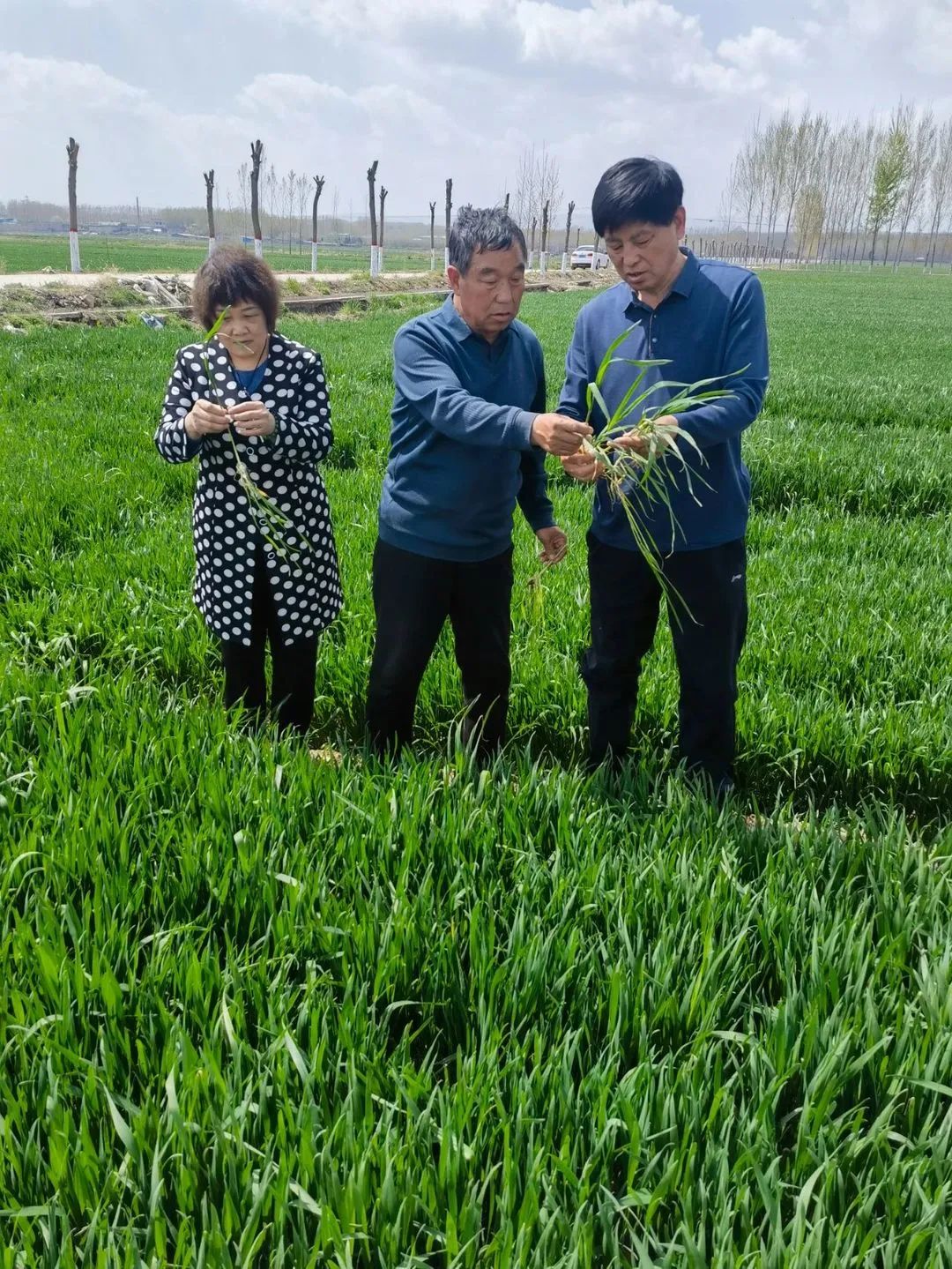 富硒产品与众不同