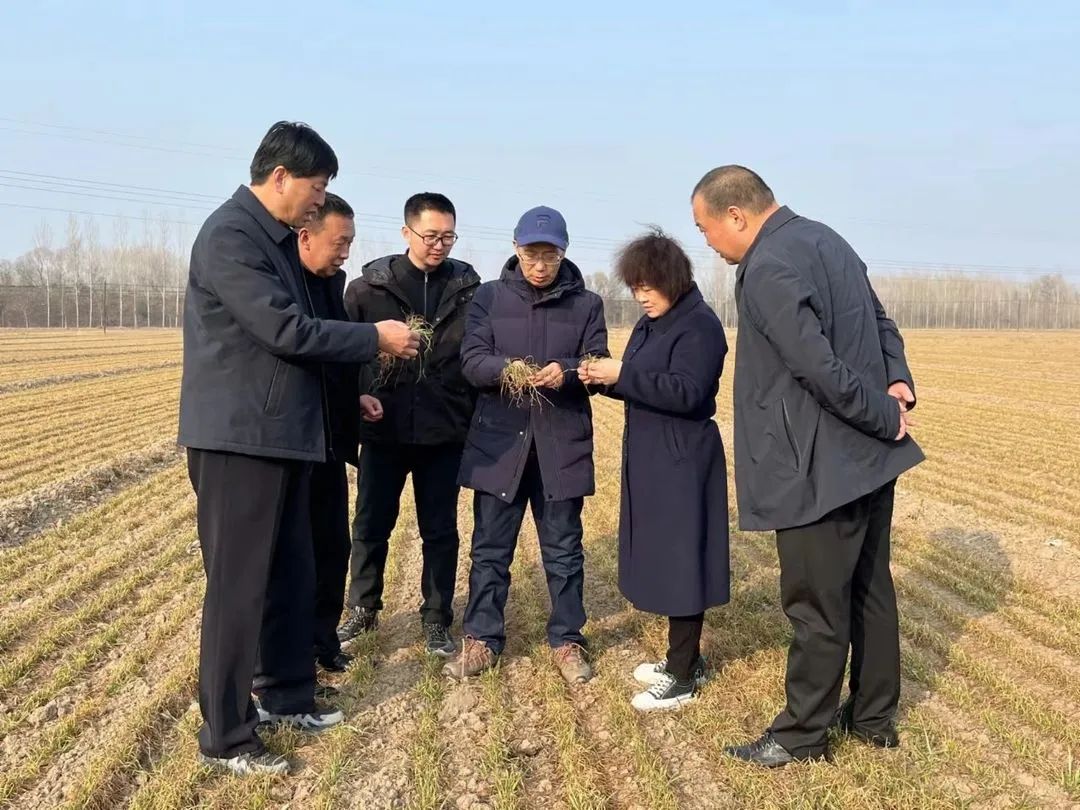 富硒产品与众不同