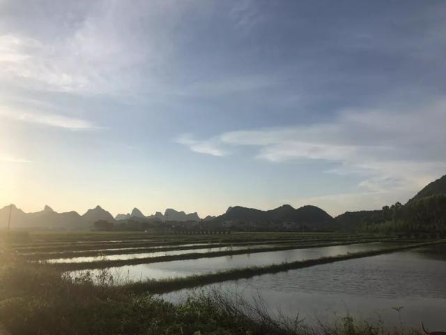 广西富硒产品数据(广西富硒产品有哪些)-硒宝网