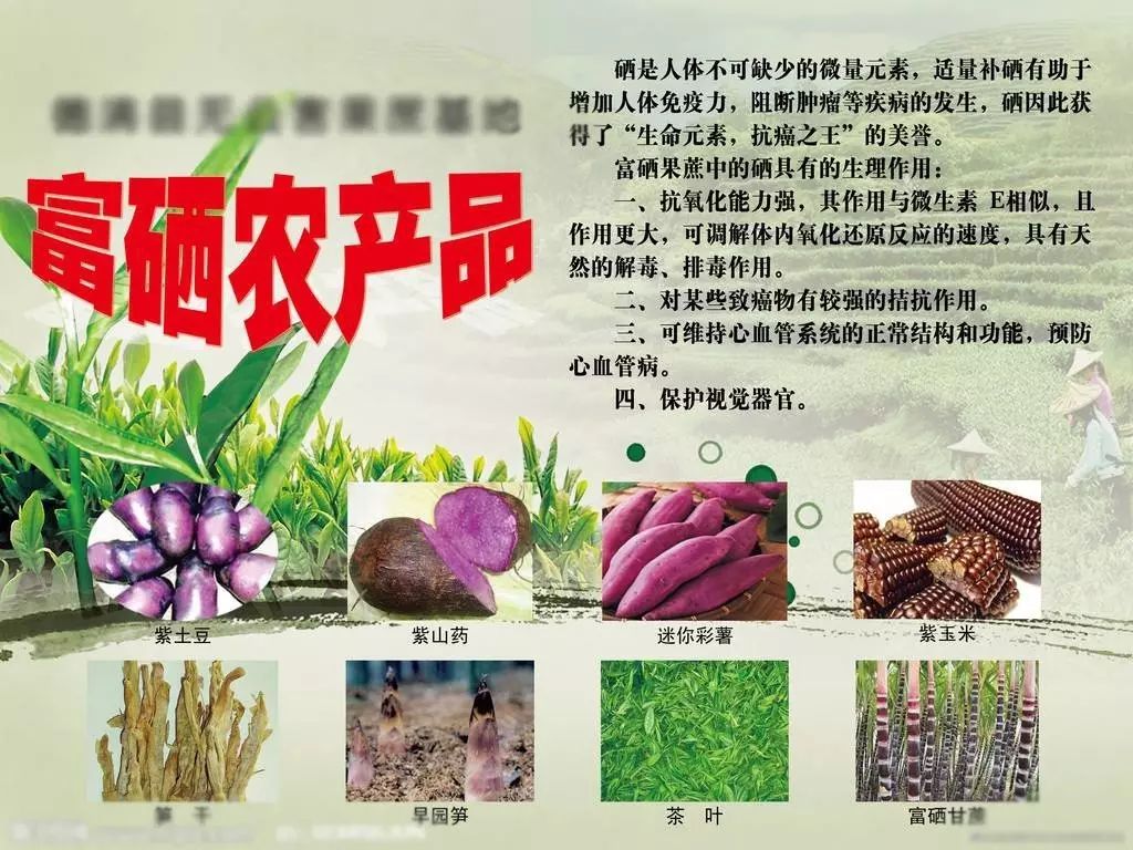 富硒农产品的销售