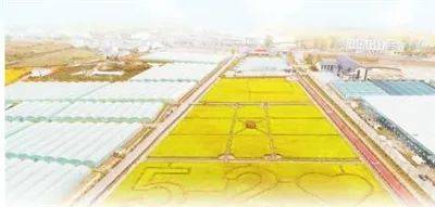 最大的富硒农产品(富硒农产品品牌)-硒宝网