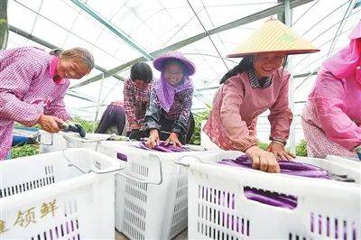 最大的富硒农产品(富硒农产品品牌)-硒宝网