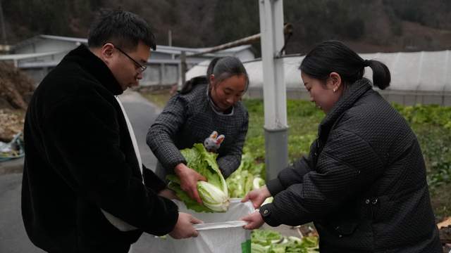 富硒农产品的核心