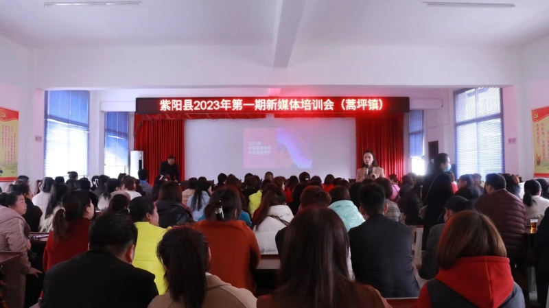 图片6