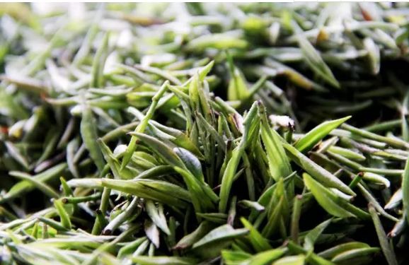 雷公山富硒清明茶