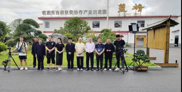亲稀源恩施富硒茶