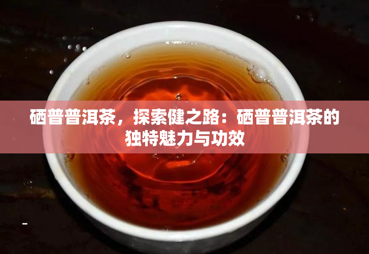 硒普普洱茶，探索健之路：硒普普洱茶的独特魅力与功效