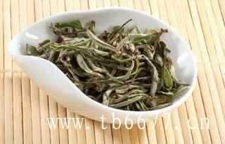 白茶的由来