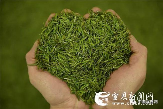 富硒贡茶是哪里的
