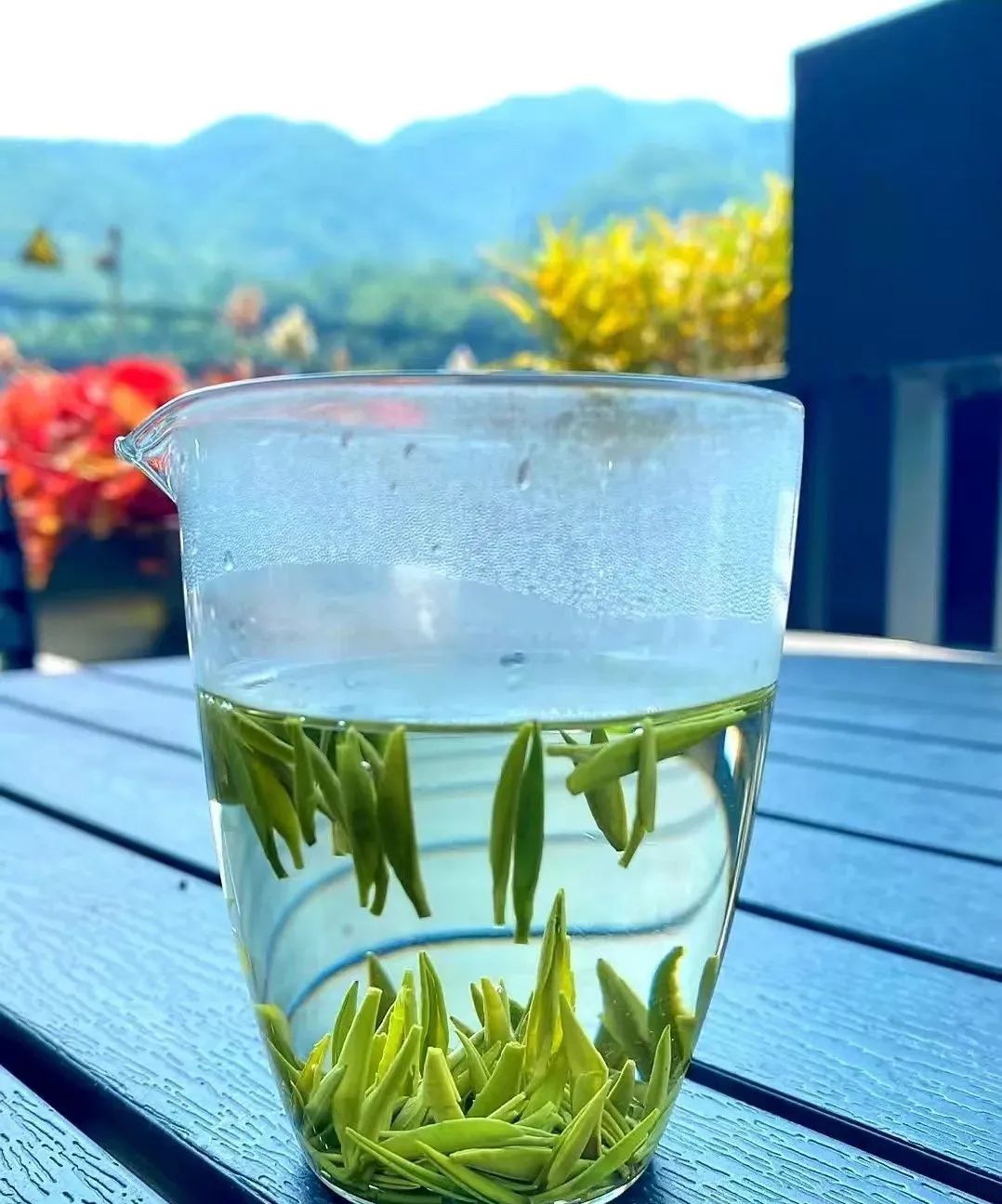 紫阳富硒茶硒姑娘