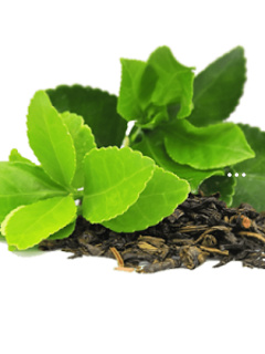 紫阳富硒白茶是什么茶