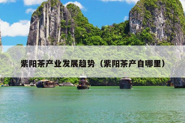 秦硒源紫阳富硒茶