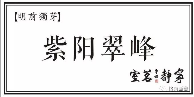 紫阳富硒茶 有机