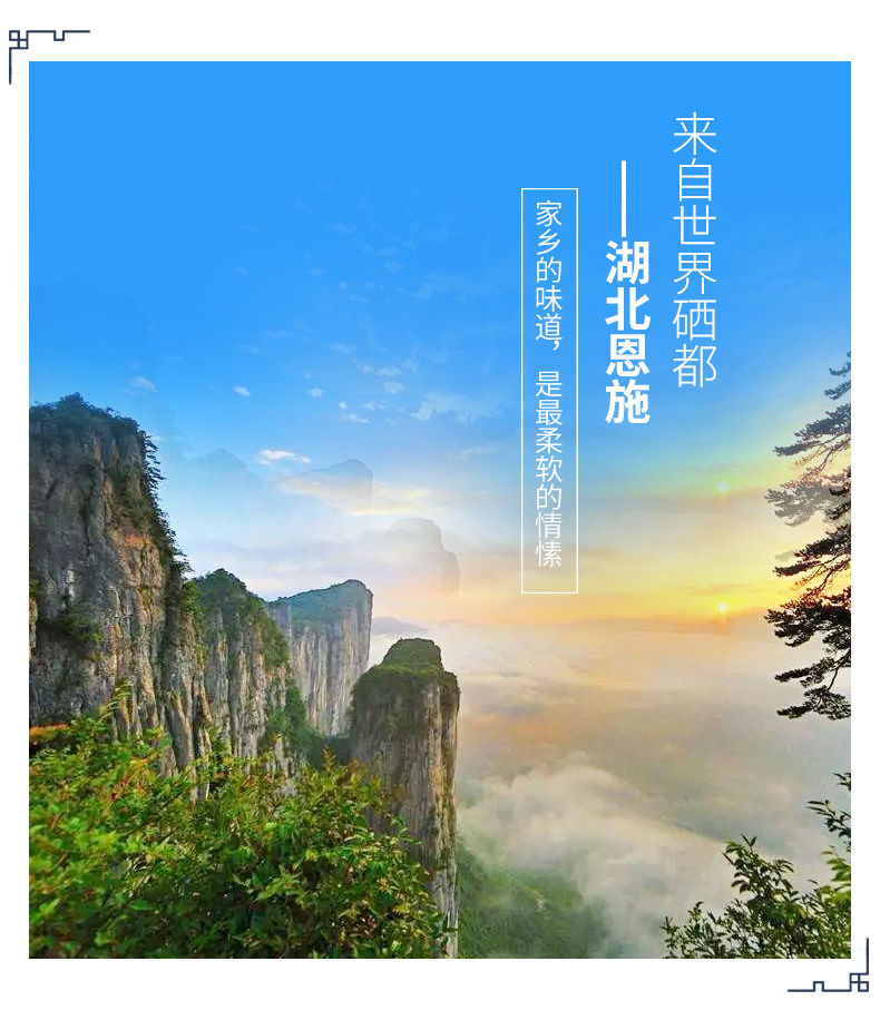 香港恩施富硒贡茶