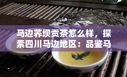 马边荞坝贡茶怎么样，探索四川马边地区：品鉴马边荞坝贡茶的独特魅力