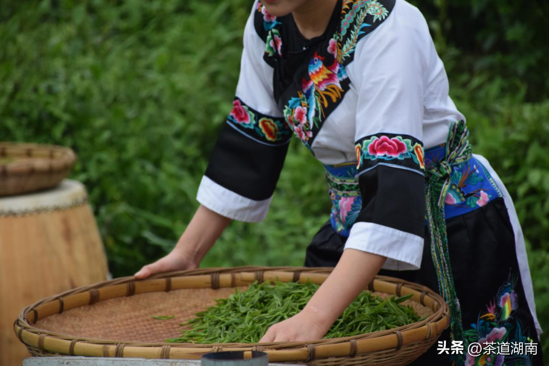 湖南清冽的富硒茶