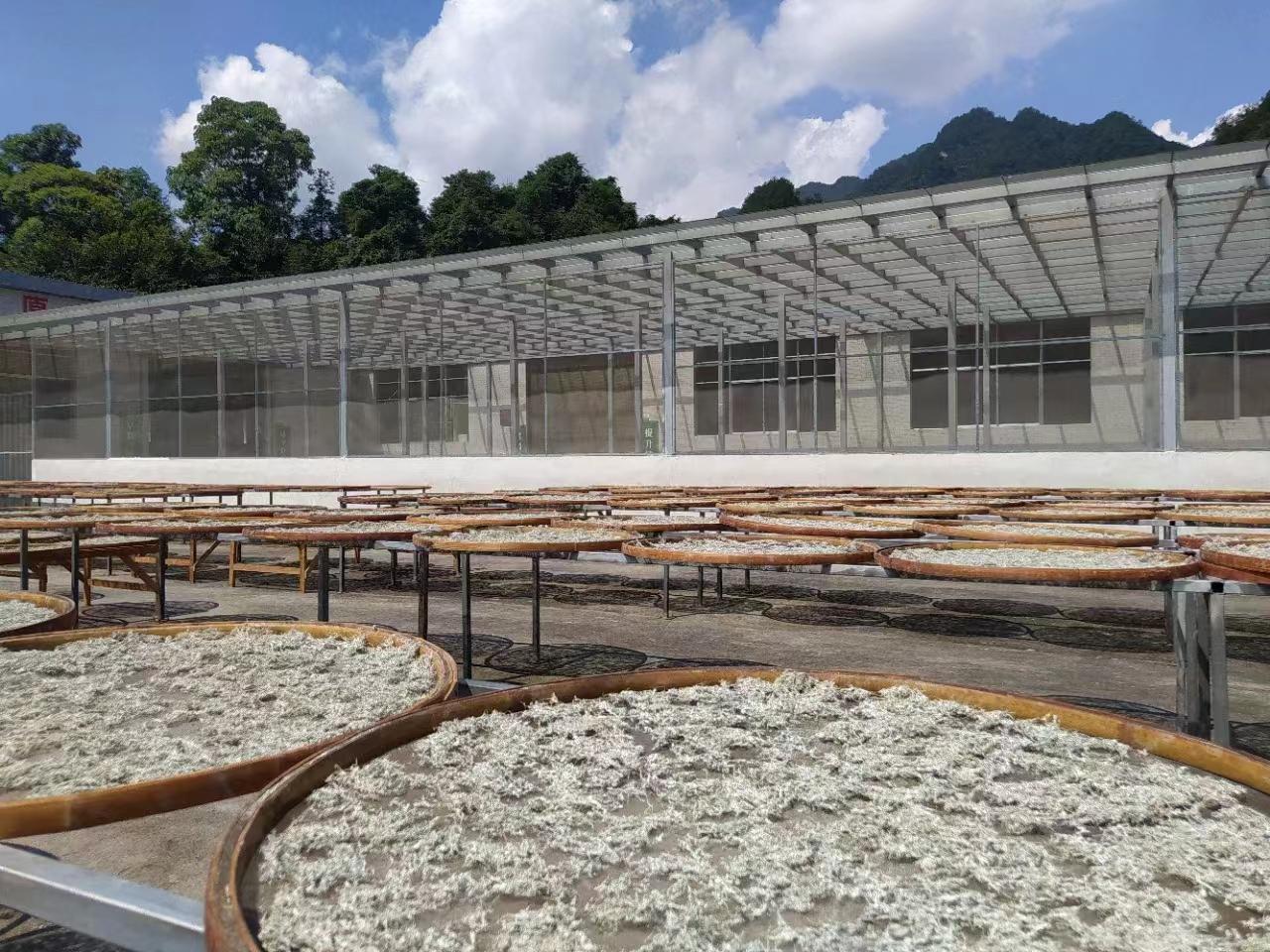 正宗土家富硒莓茶(茶莓是什么)-硒宝网