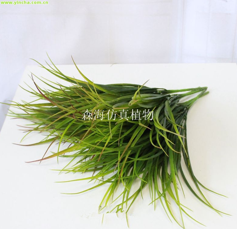 富硒藤茶：真实存在还是虚假宣传？如何正确饮用及植物来源解析
