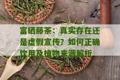 富硒藤茶：真实存在还是虚假宣传？如何正确饮用及植物来源解析