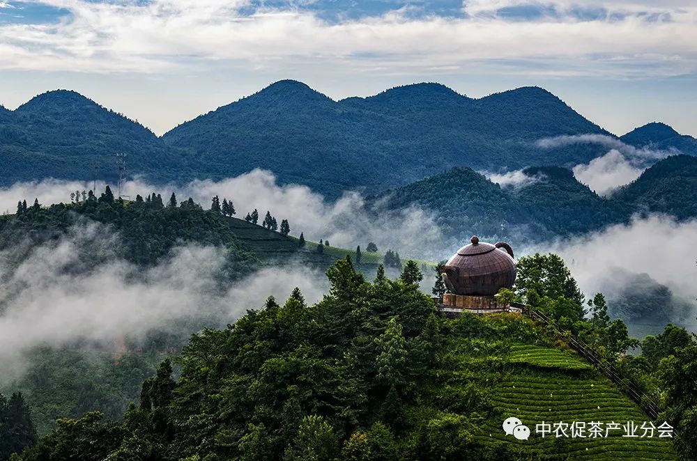 湖北特产富硒贡茶