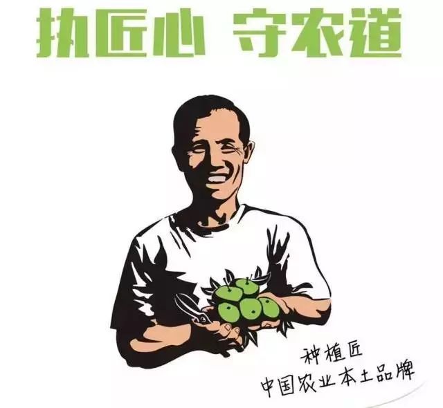 富硒叶茶定制费用