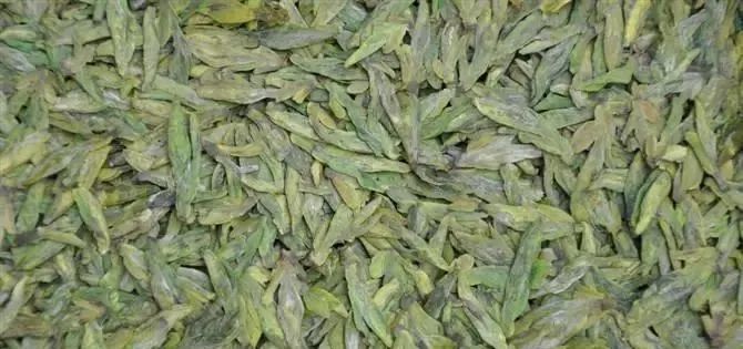 福建富硒茶哪里买(福建茶买富硒茶好吗)-硒宝网