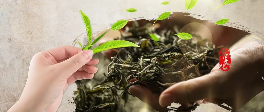 福建富硒茶哪里买(福建茶买富硒茶好吗)-硒宝网