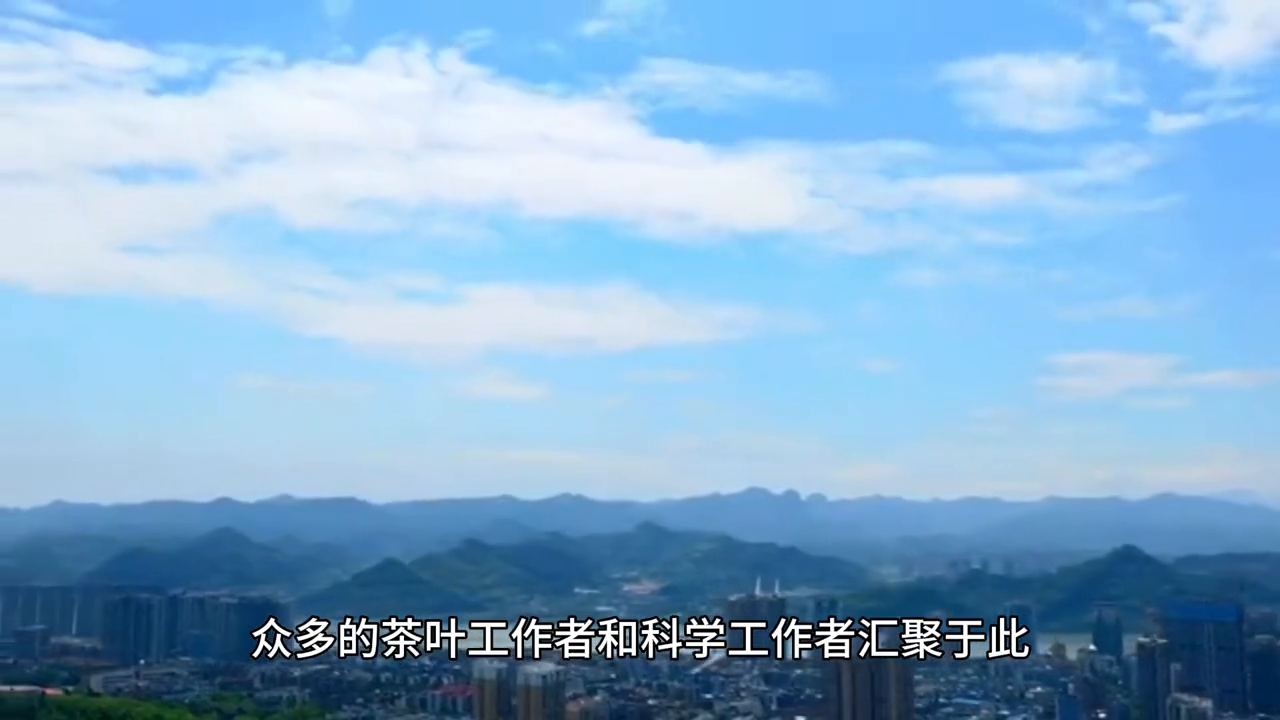 绍兴凤阳富锌硒茶