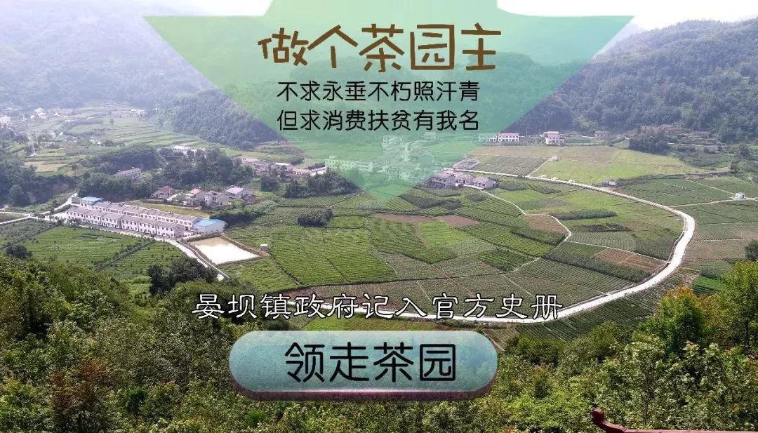 安康富硒茶的口感
