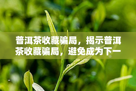 普洱茶收藏骗局，揭示普洱茶收藏骗局，避免成为下一个受害者！