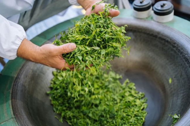 清冽的富硒茶工厂