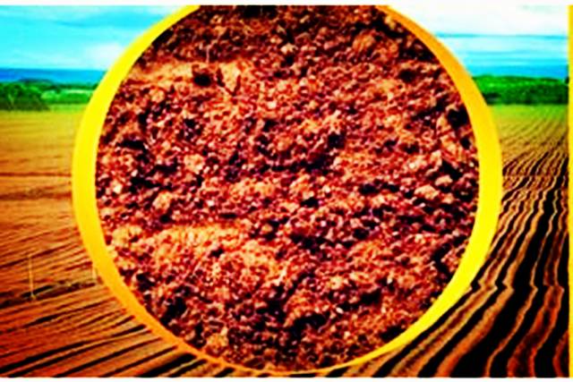 恩施哪里有富硒茶