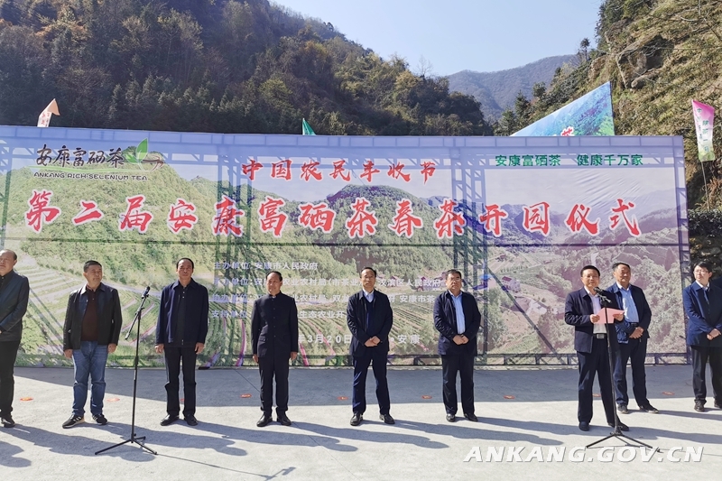 质量好安康富硒茶
