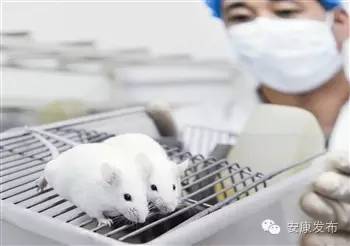 哪里买安全富硒茶