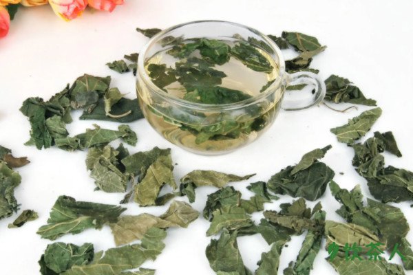 桑叶茶的功效与作用及禁忌，桑叶茶的七大功效(四类人群慎饮)