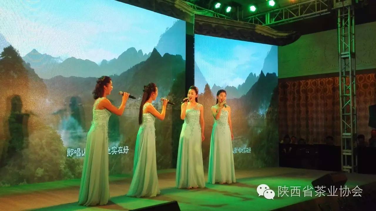 紫阳富硒茶在美国