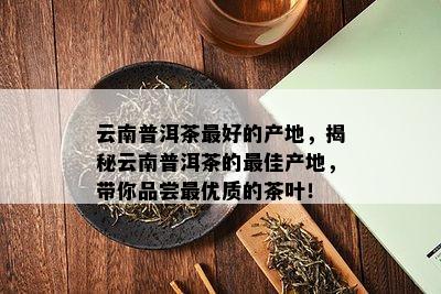 云南普洱茶更好的产地，揭秘云南普洱茶的更佳产地，带你品尝更优质的茶叶！