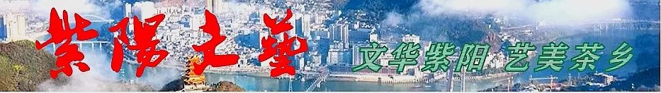 紫阳富硒茶清盛魁