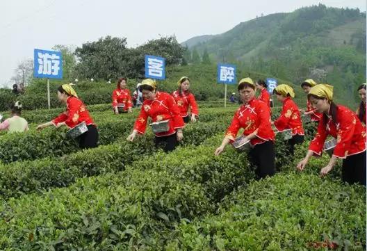 富硒茶走廊的位置