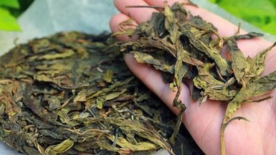 白茶和普洱降血压那个好-白茶和普洱哪个降血压效果好