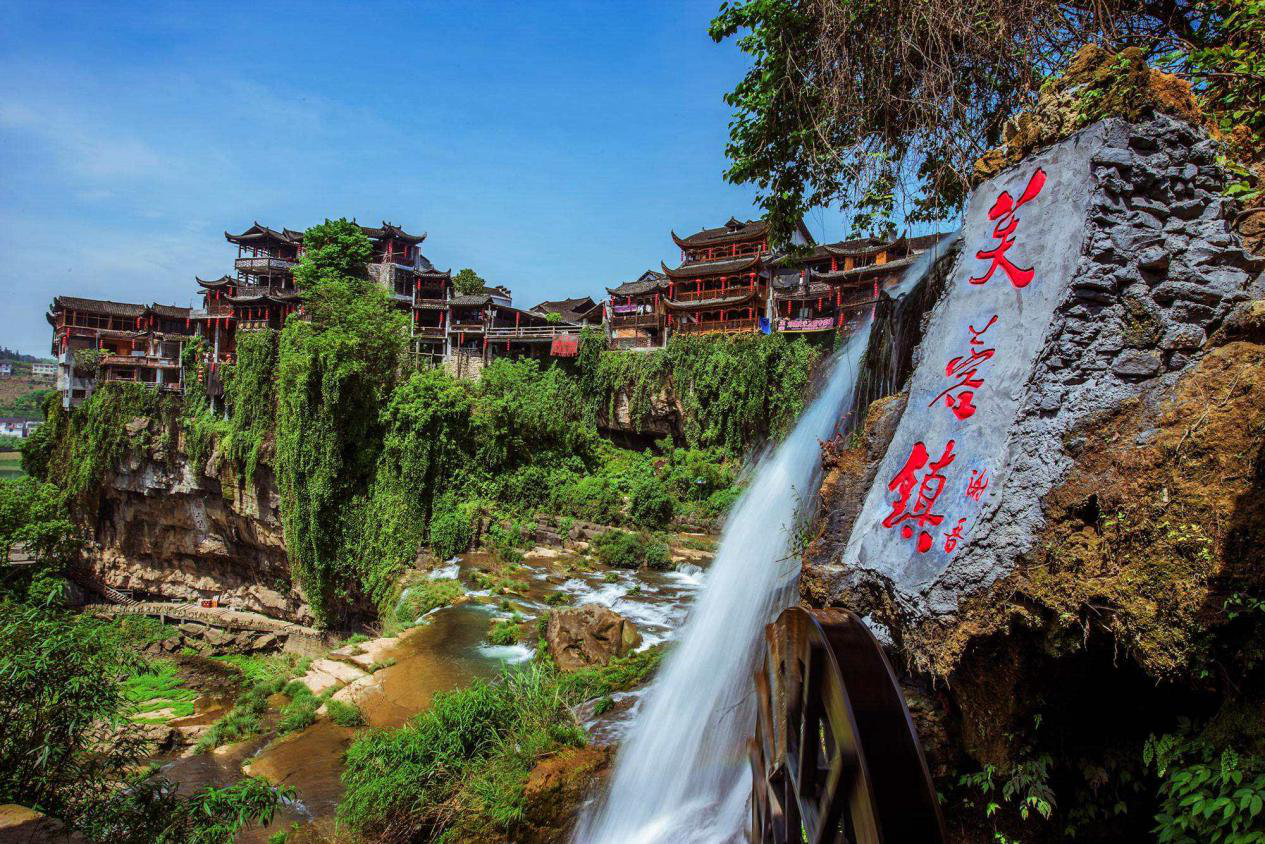 莓茶是富硒藤茶吗