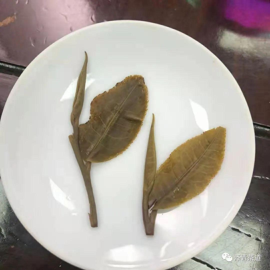 富硒茶是普洱茶吗