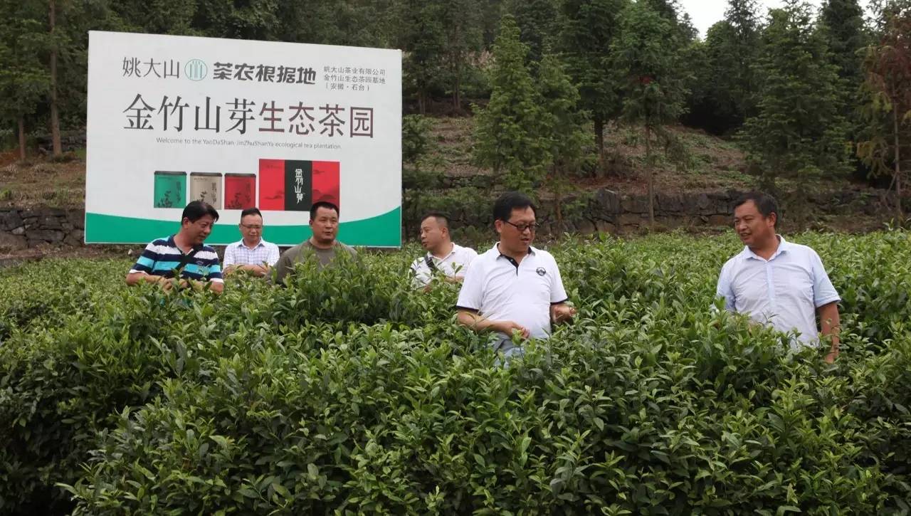 石台七都镇富硒茶