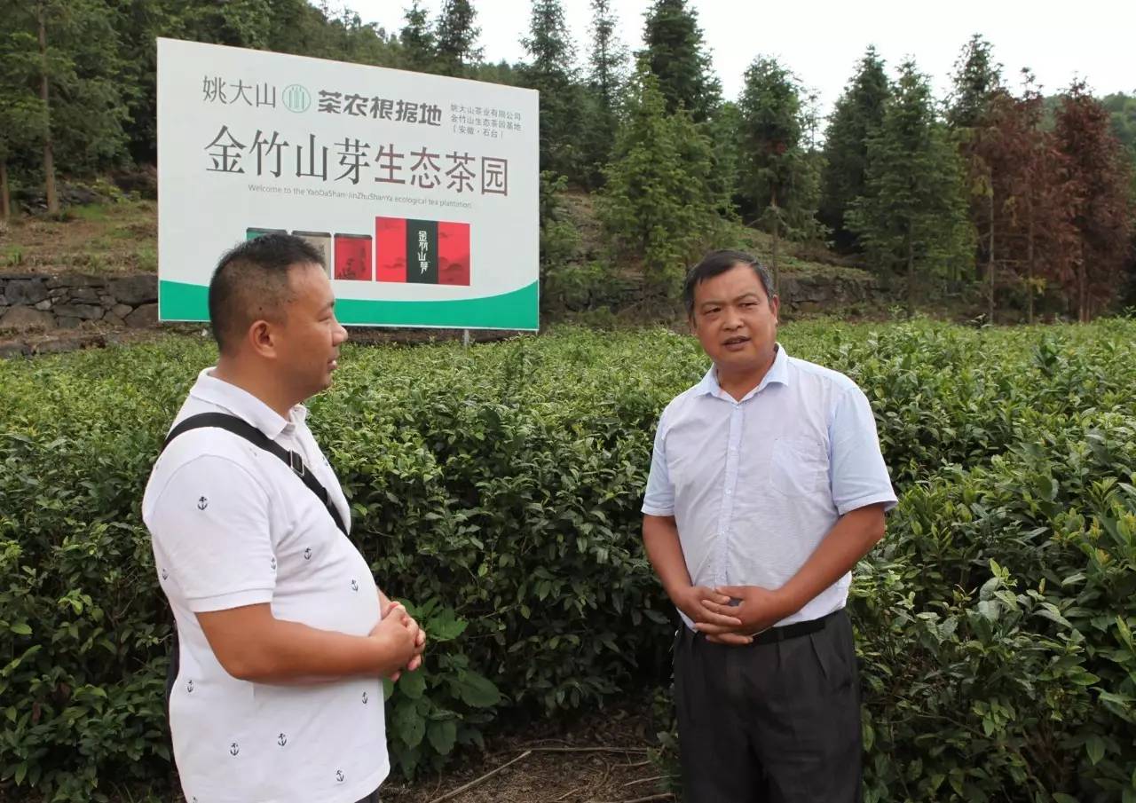 石台七都镇富硒茶