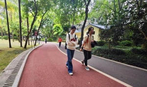 2024年首场强冷空气“冻”真格，广西局地气温将下降16℃以上