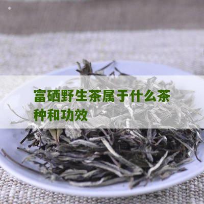 富硒野生茶属于什么茶种和功效
